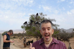 moroccogoats